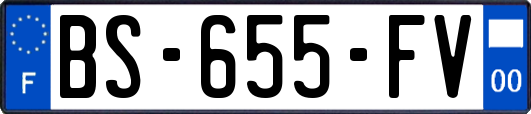 BS-655-FV