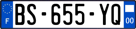 BS-655-YQ