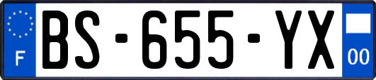 BS-655-YX
