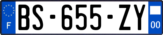 BS-655-ZY