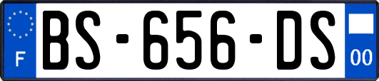 BS-656-DS