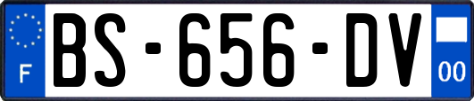 BS-656-DV