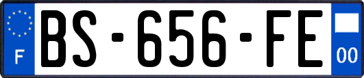 BS-656-FE