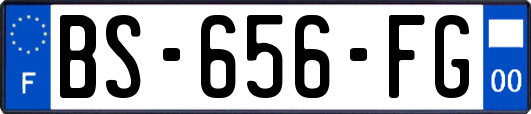 BS-656-FG