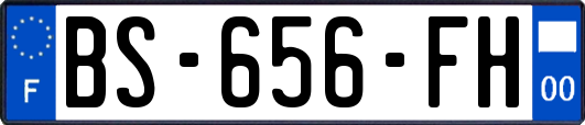 BS-656-FH