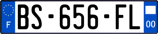 BS-656-FL