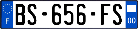 BS-656-FS