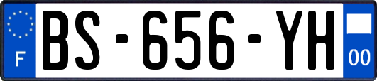 BS-656-YH