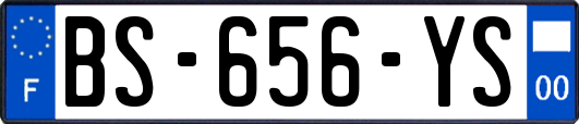 BS-656-YS
