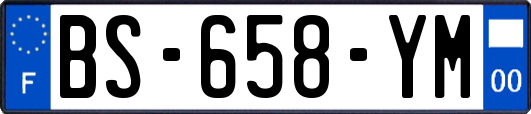 BS-658-YM