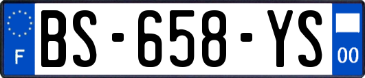 BS-658-YS