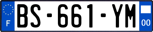 BS-661-YM