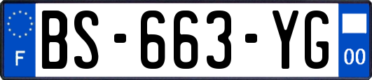 BS-663-YG