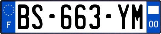 BS-663-YM