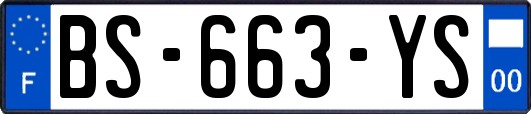 BS-663-YS