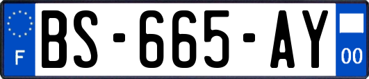 BS-665-AY