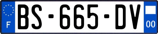 BS-665-DV