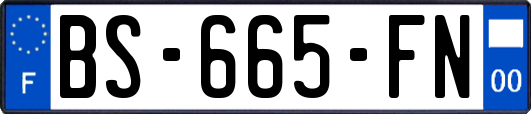 BS-665-FN