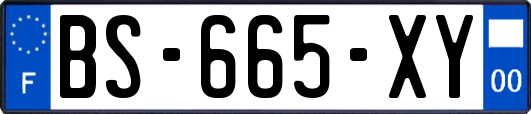 BS-665-XY