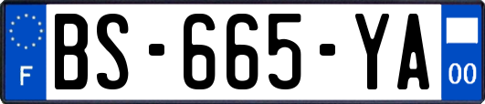BS-665-YA
