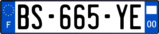 BS-665-YE