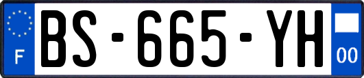 BS-665-YH