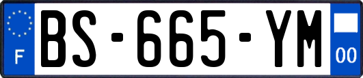 BS-665-YM