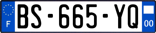 BS-665-YQ