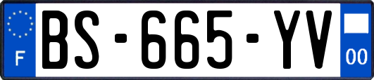 BS-665-YV
