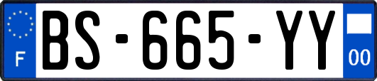 BS-665-YY