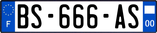 BS-666-AS