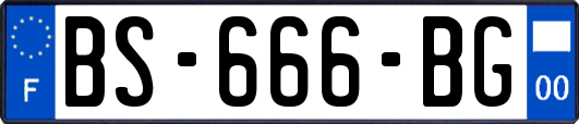 BS-666-BG