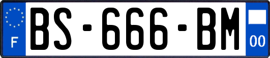 BS-666-BM