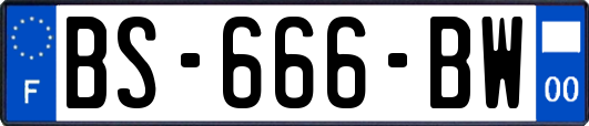 BS-666-BW