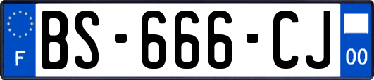 BS-666-CJ