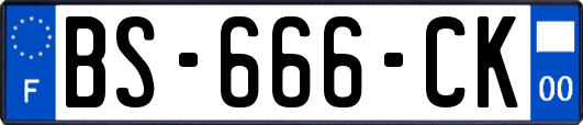 BS-666-CK