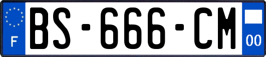 BS-666-CM