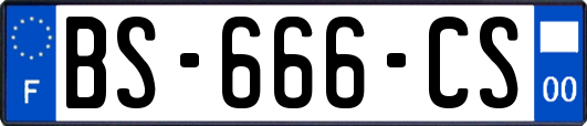 BS-666-CS