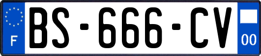 BS-666-CV