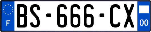 BS-666-CX