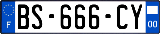 BS-666-CY