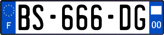 BS-666-DG