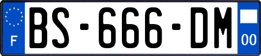 BS-666-DM