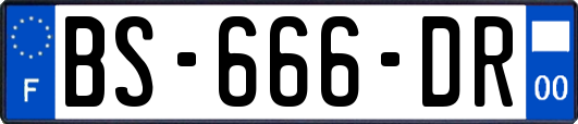 BS-666-DR