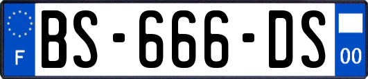 BS-666-DS