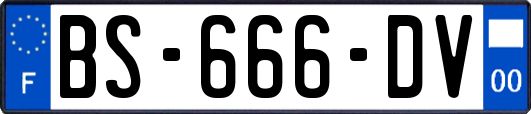 BS-666-DV