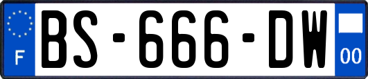 BS-666-DW