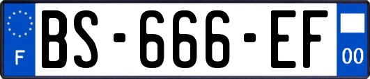 BS-666-EF