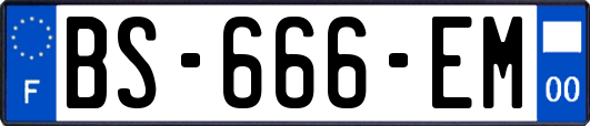 BS-666-EM