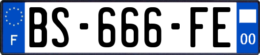 BS-666-FE